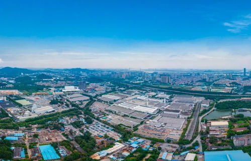 黄埔区2021年公办小学招生地段划分中的房产信息咨询规定详解